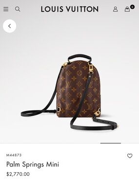 Louis Vuitton Brown Monogram Palm Springs Mini Backpack with Black Straps
